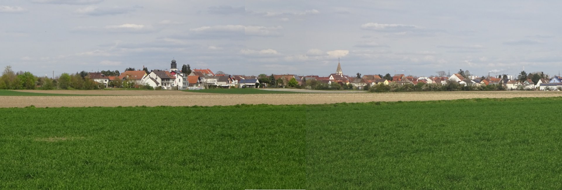 Reinönheim